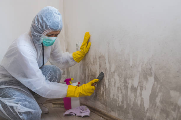 Health and Safety Mold Remediation